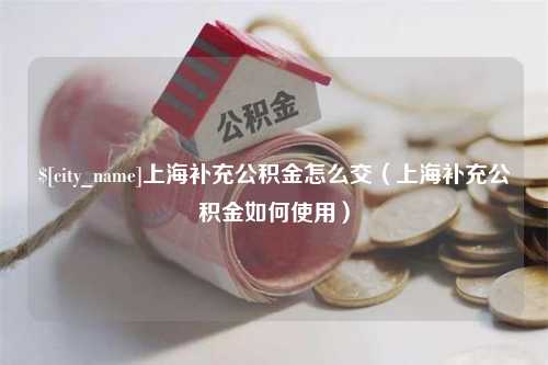 韶关上海补充公积金怎么交（上海补充公积金如何使用）